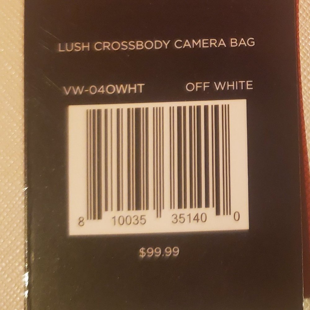 Vanessa Williams camera bag
